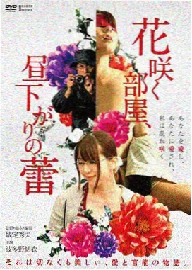 电影分部图鉴：单张宽幅卡片与场记板